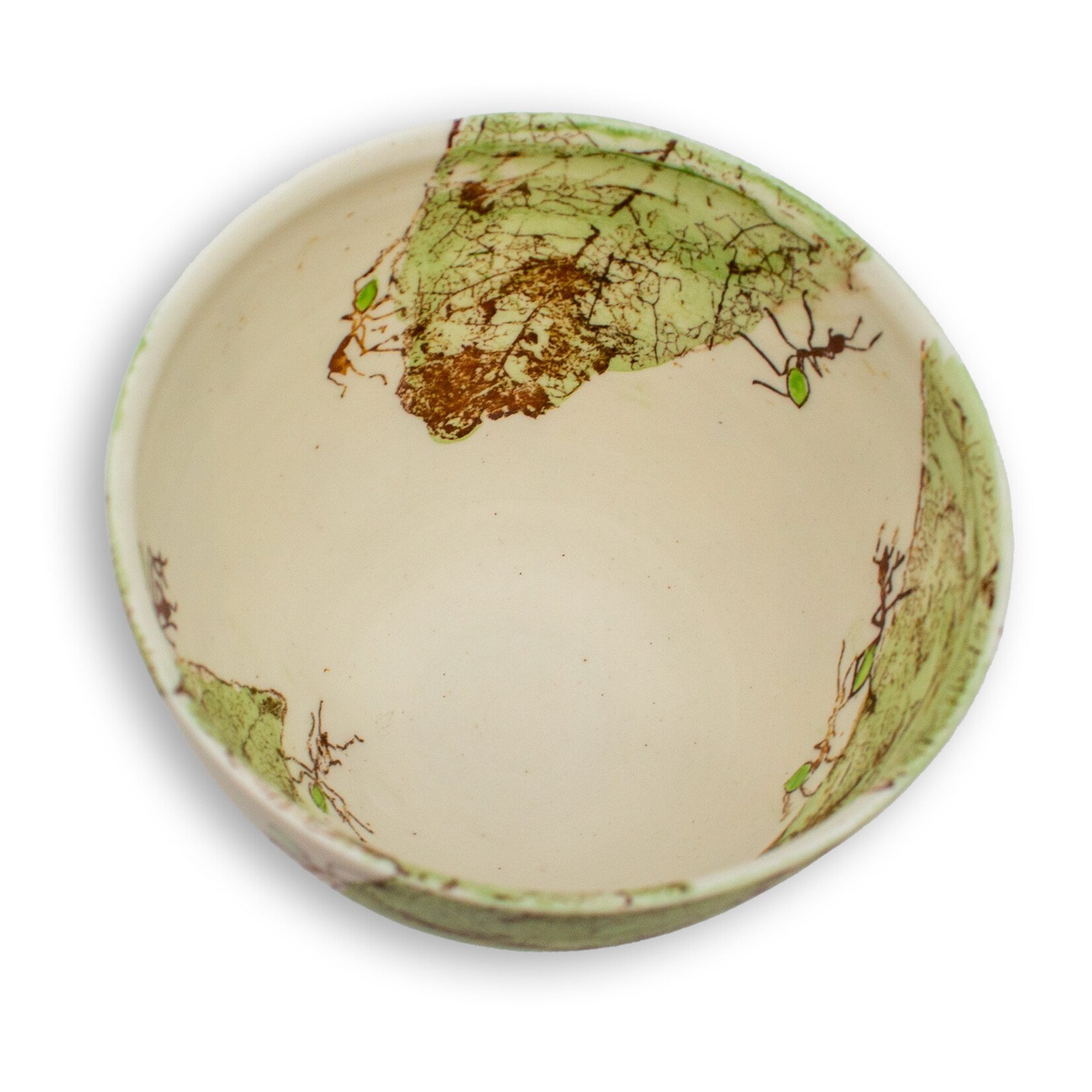 Mollie Bosworth, Green Ant Bowl with Leaves | Porcelain