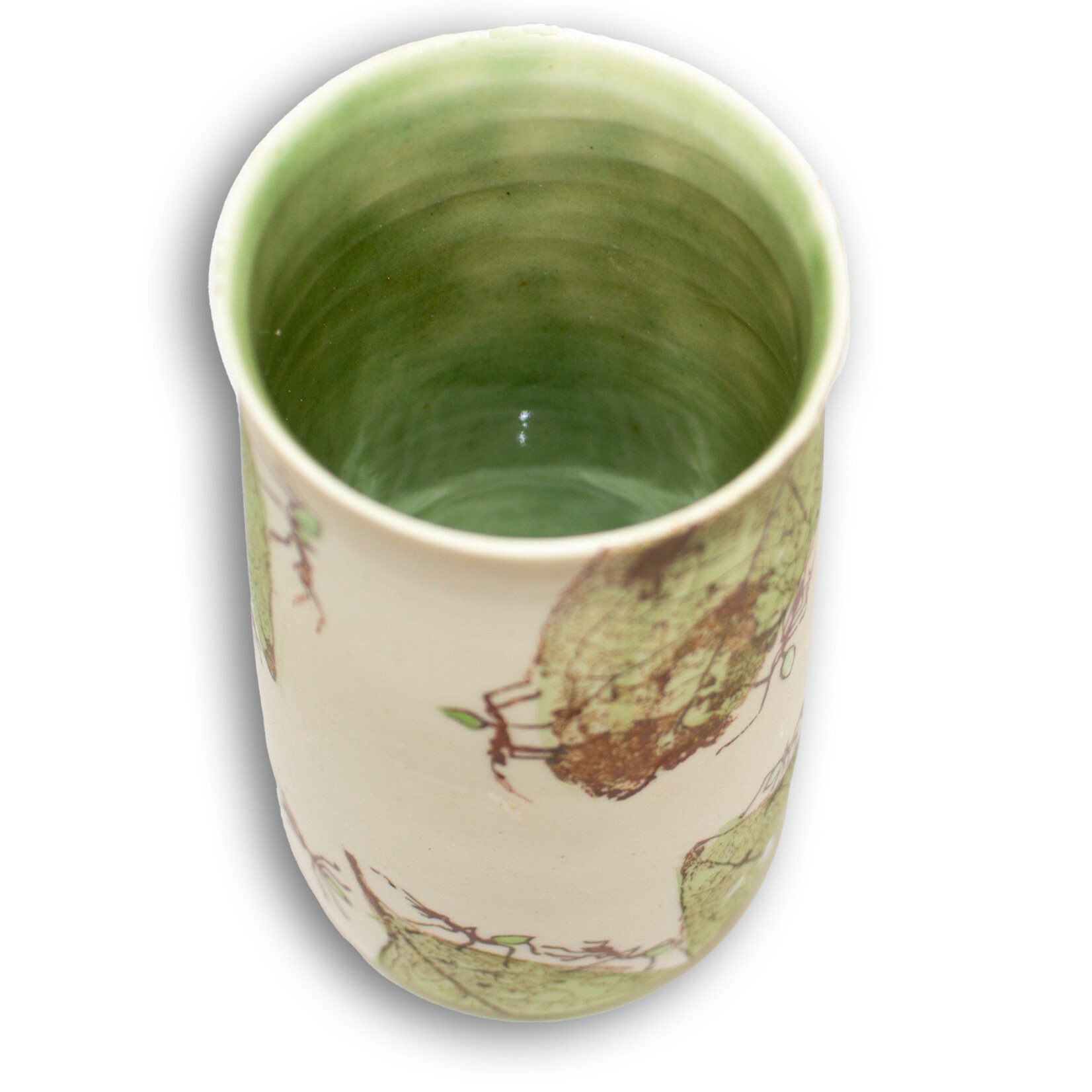 Mollie Bosworth, Green Ant Vase with Glazed Interior | Porcelain
