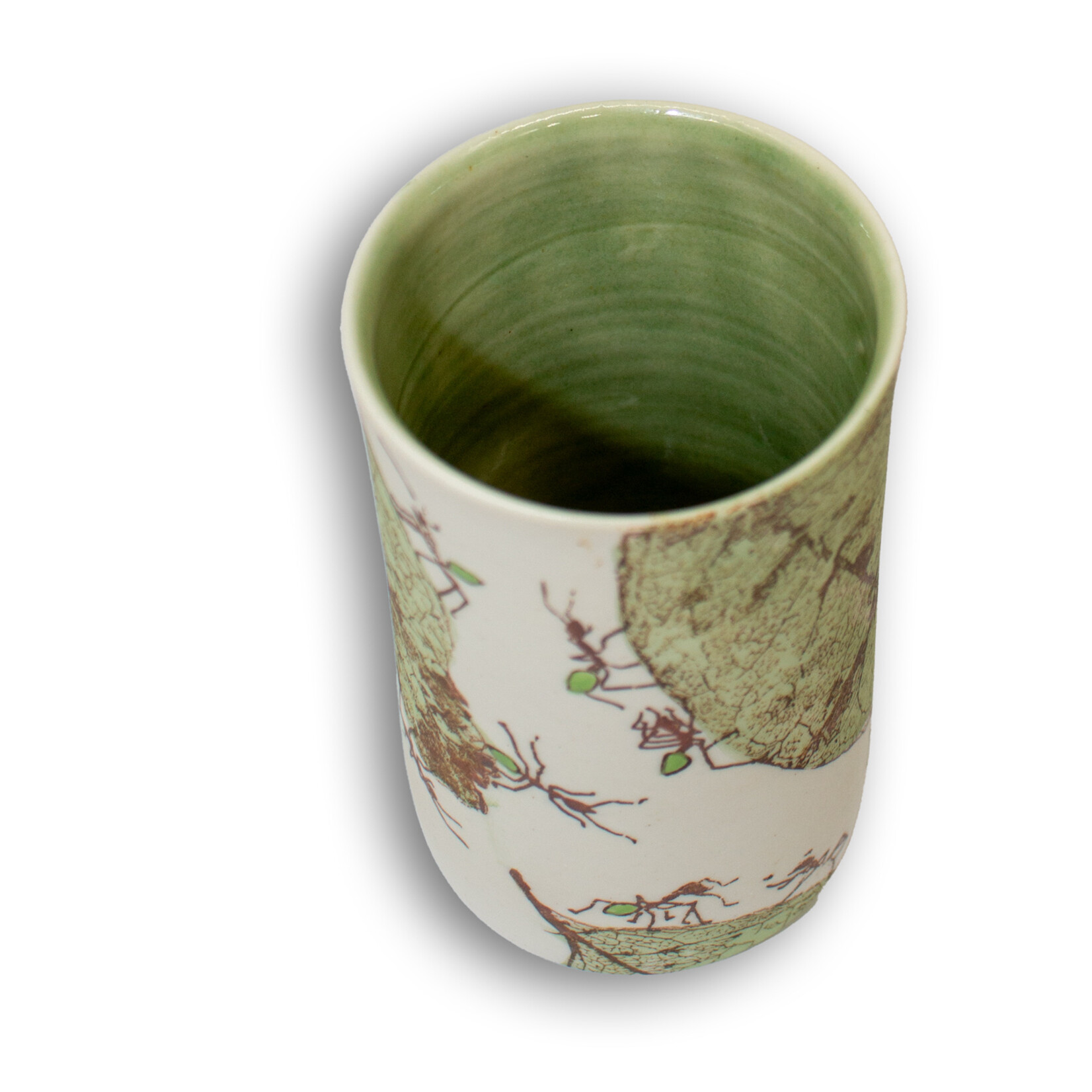 Mollie Bosworth, Green Ant Vase with Glazed Interior | Porcelain