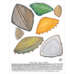 Heather Wunjarra Koowootha, Chull, Kiye Soup Schell | Tea Towel