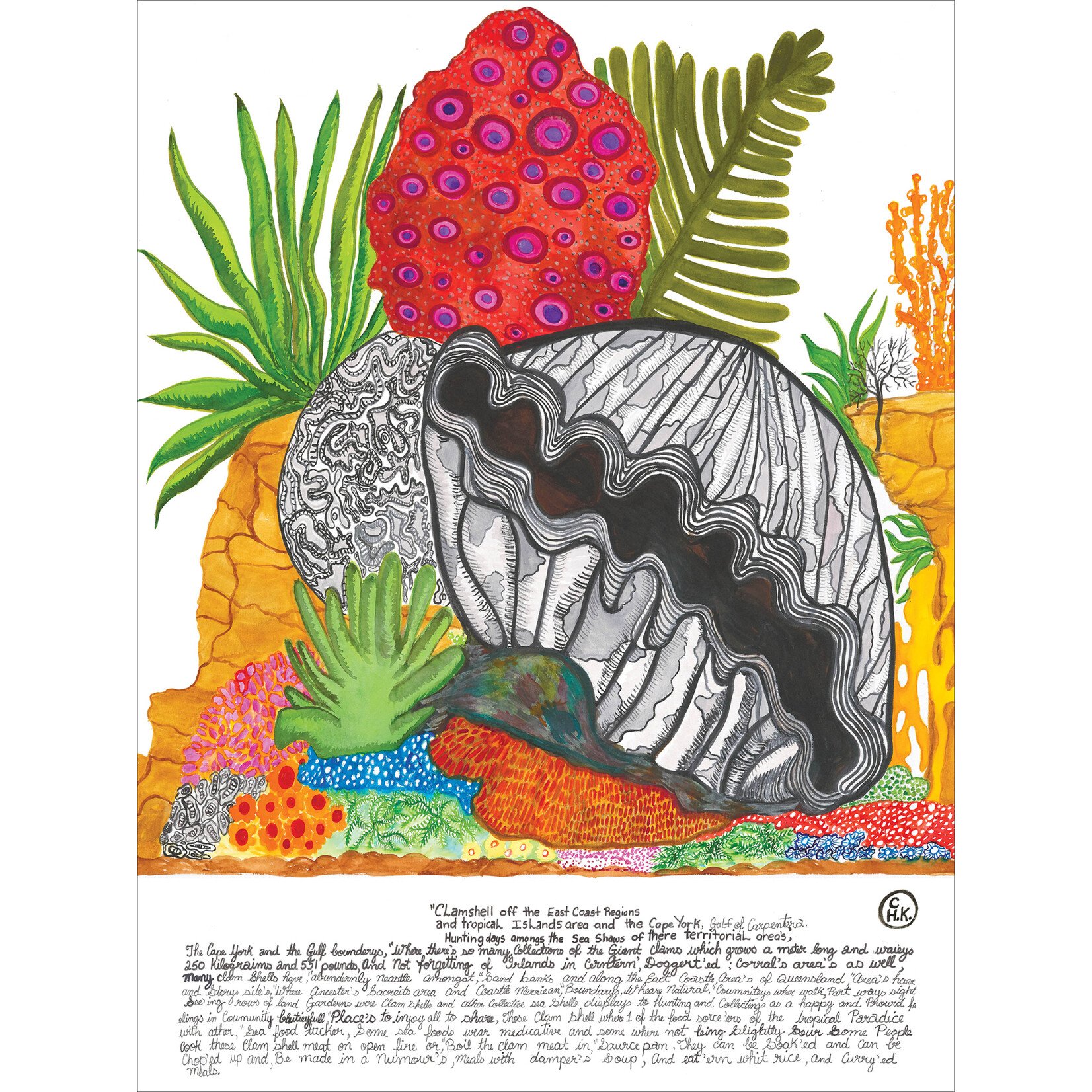 Heather Wunjarra Koowootha, Giant Clam | Tea Towel