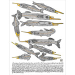 Heather Wunjarra Koowootha, Gar Fish | Tea Towel