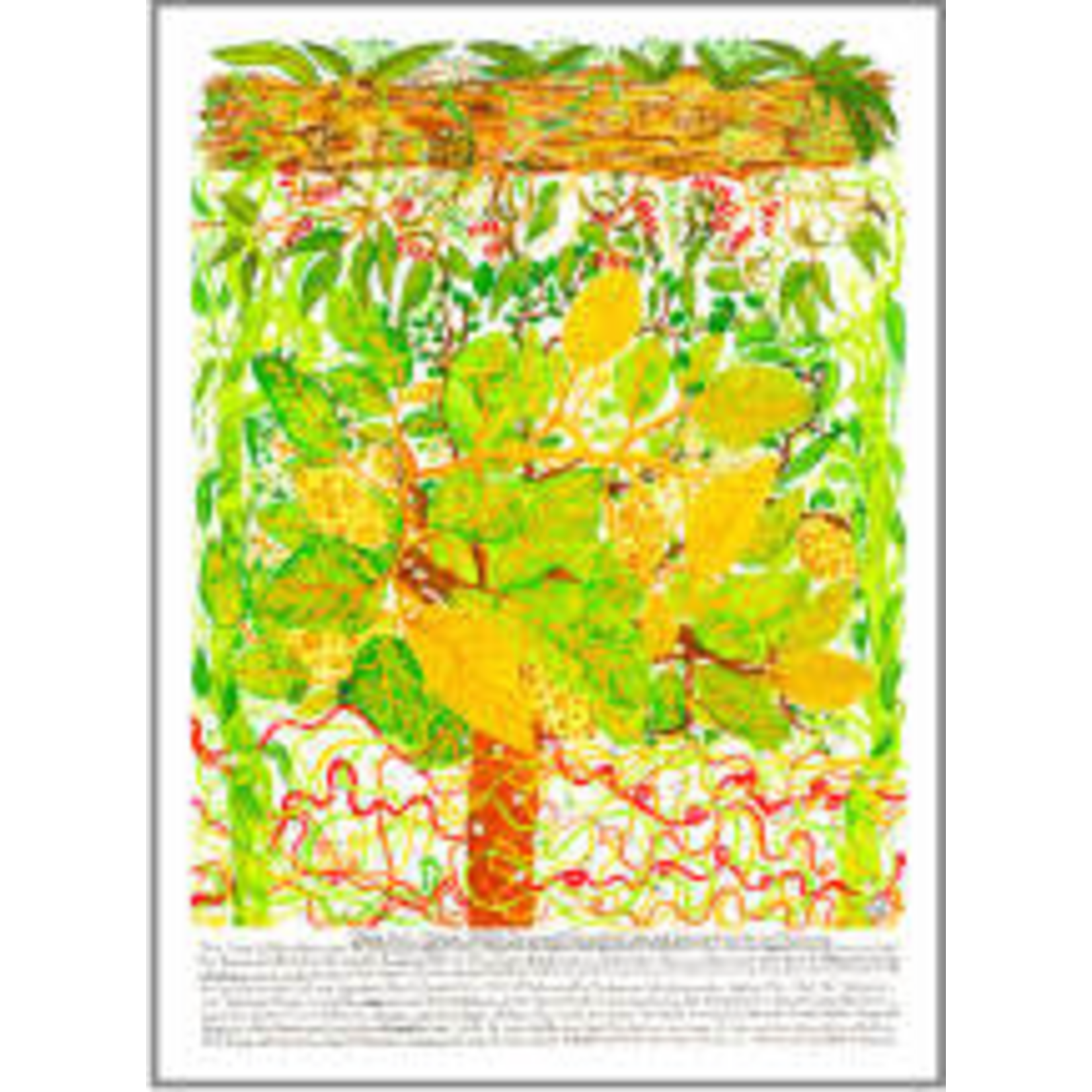Heather Wunjarra Koowootha, Cheese Fruit  2019-2020 | Open Edition Print