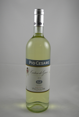 Pio Cesare Pio Cesare Cortese di Gavi 2023