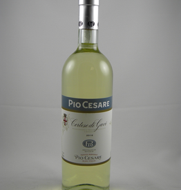 Pio Cesare Pio Cesare Cortese di Gavi 2024