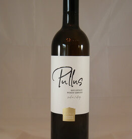 Ptujska Klet Pullus Pinot Grigio Slovenia 2024