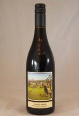 Raptor Ridge Pinot Noir Willamette Valley 2022