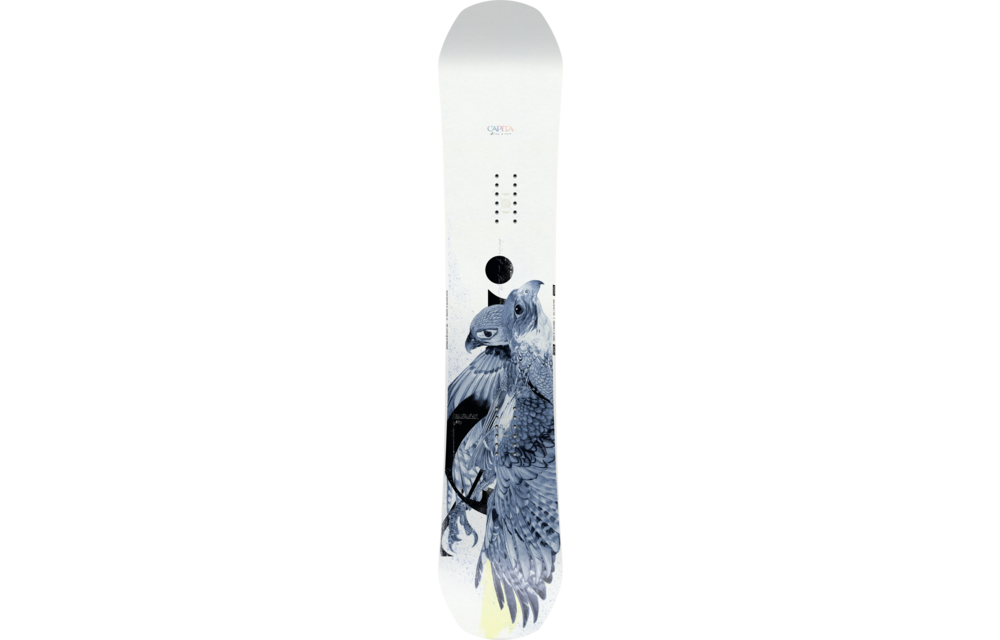 販売ショッピング CAPITA BIRDS OF A FEATHER 22-23 144cm