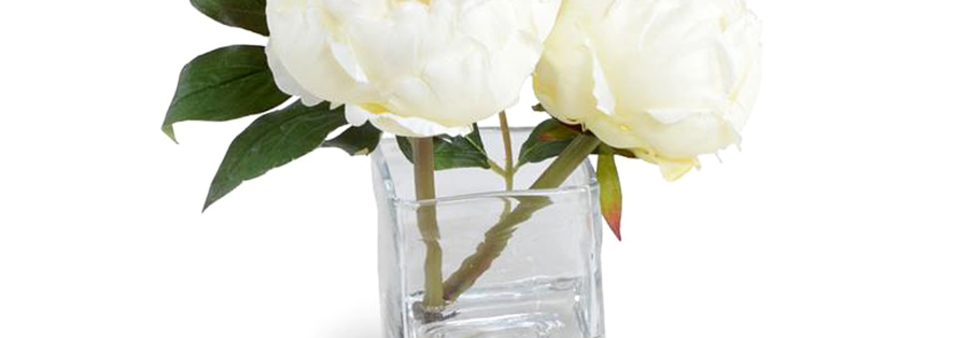 PEONY IN GLASS CUBE WHITE