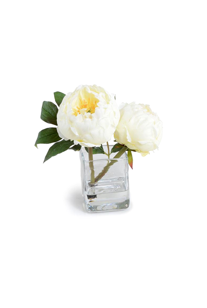 PEONY IN GLASS CUBE WHITE