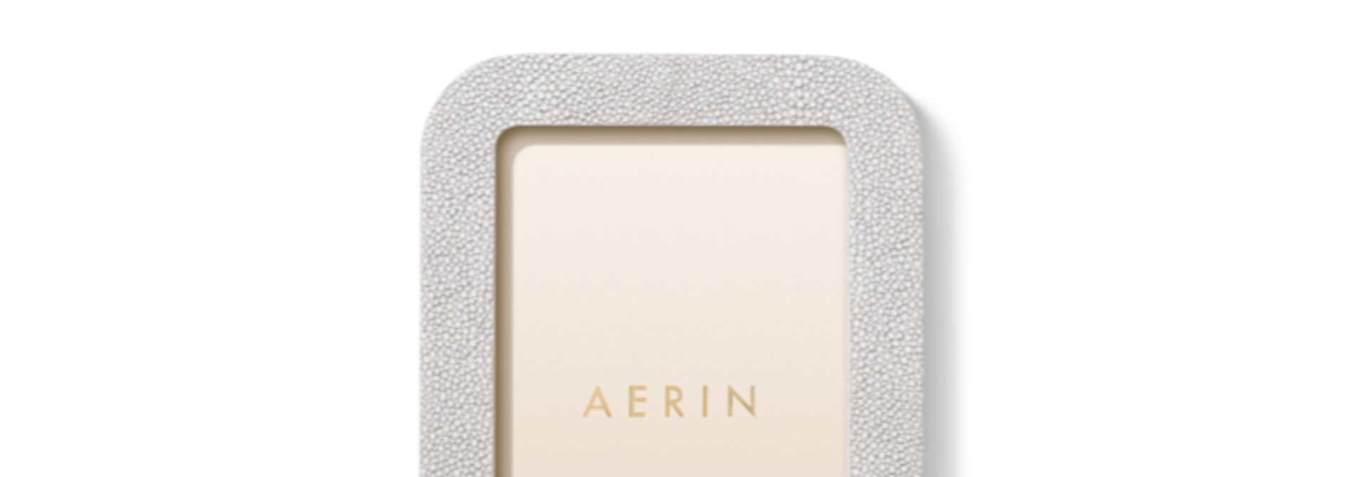 AERIN MODERN SHAGREEN FRAME DOVE 4X6