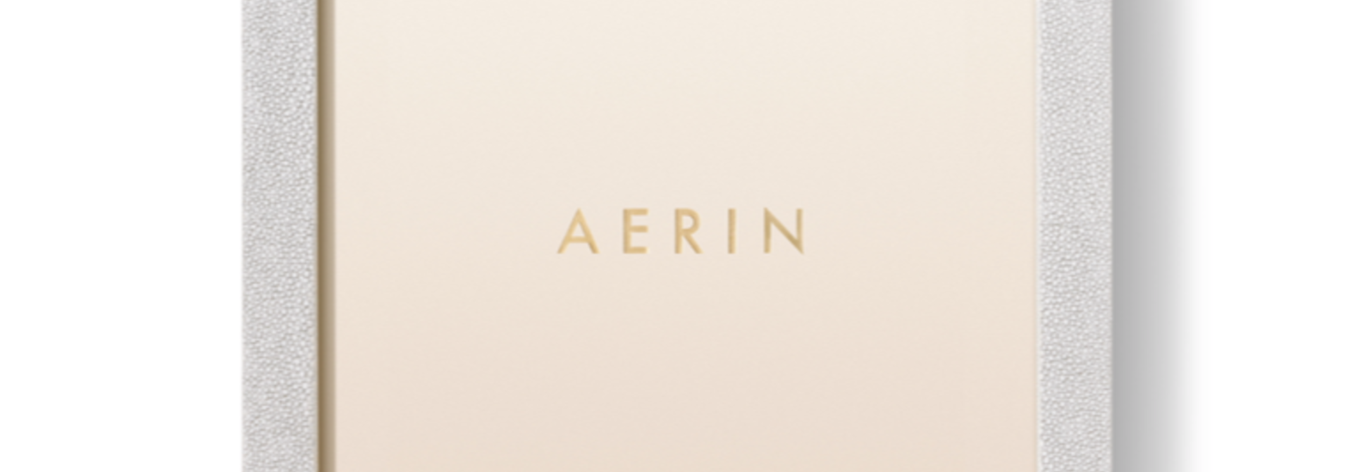 AERIN MODERN SHAGREEN FRAME DOVE 8X10