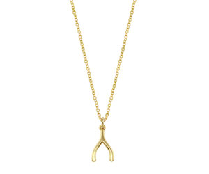 Jennifer meyer sales wishbone necklace