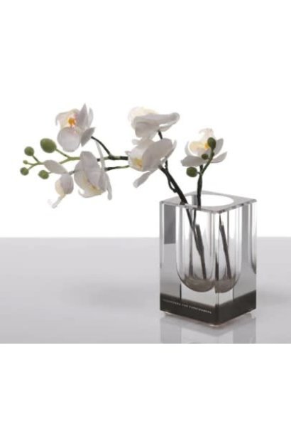 BLOOMIN VASE VOLTAGE BRONZE SHORT