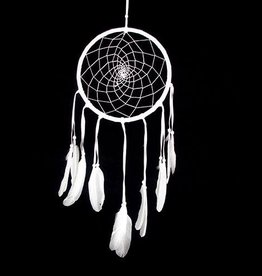 Dream Catcher white w/ net and feathers.
