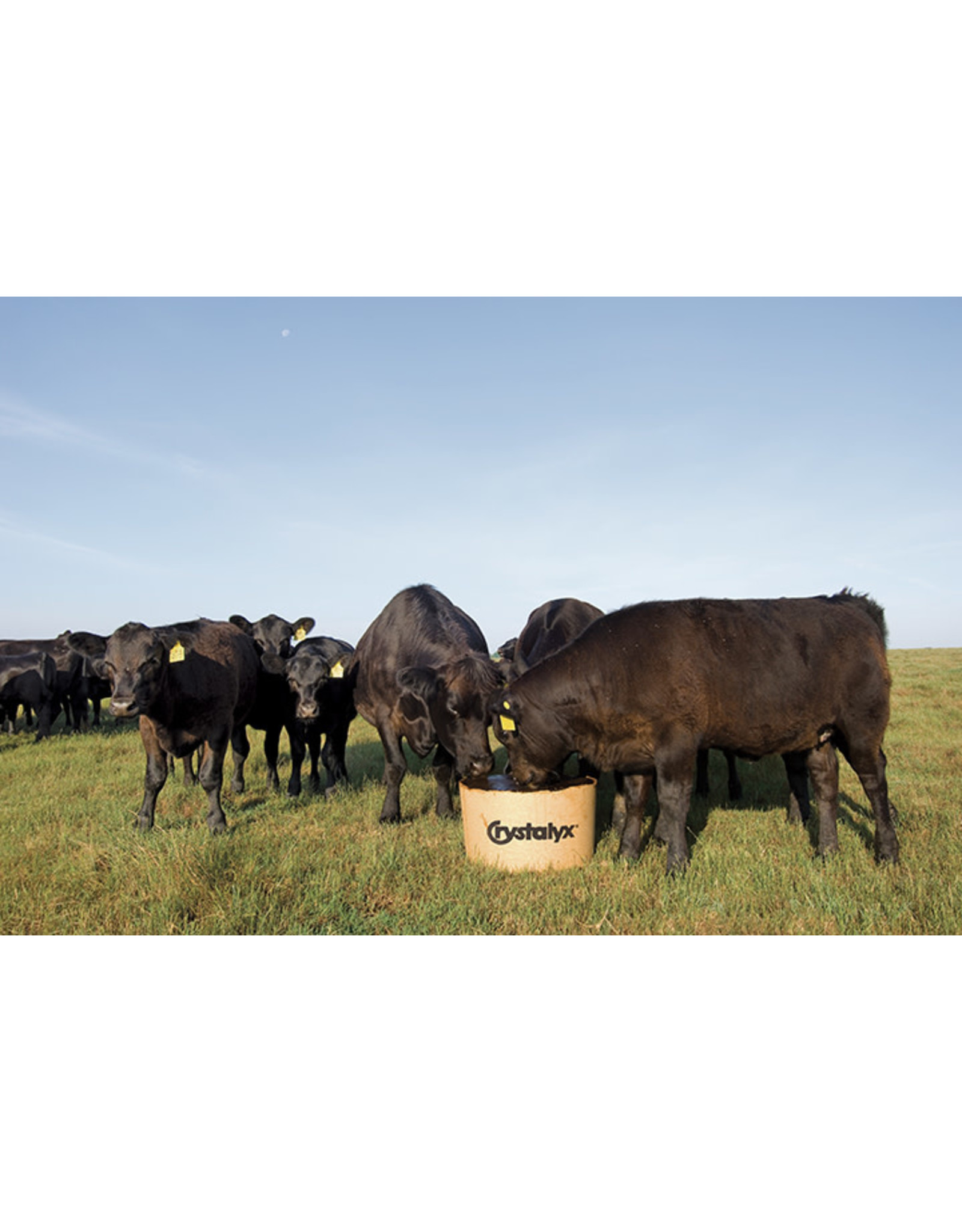 Crystalyx VP 30% - 200lbs Biodegradable, edible barrel. Late season pastures, crop residue, and moderate to low quality harvested forages. Protein 30.0% Fat 4.0% Fiber 3.0% Calcium 2.0% Phosphorus 2.0% Magn. 1.0% Potassium
