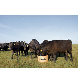 Crystalyx BLUEPRINT 30 - 200lbs BIO Tub -61516BB - 100% Chelated Minerals. Designed to be fed to beef cattle on medium to lower quality forages to help improve forage utilization.