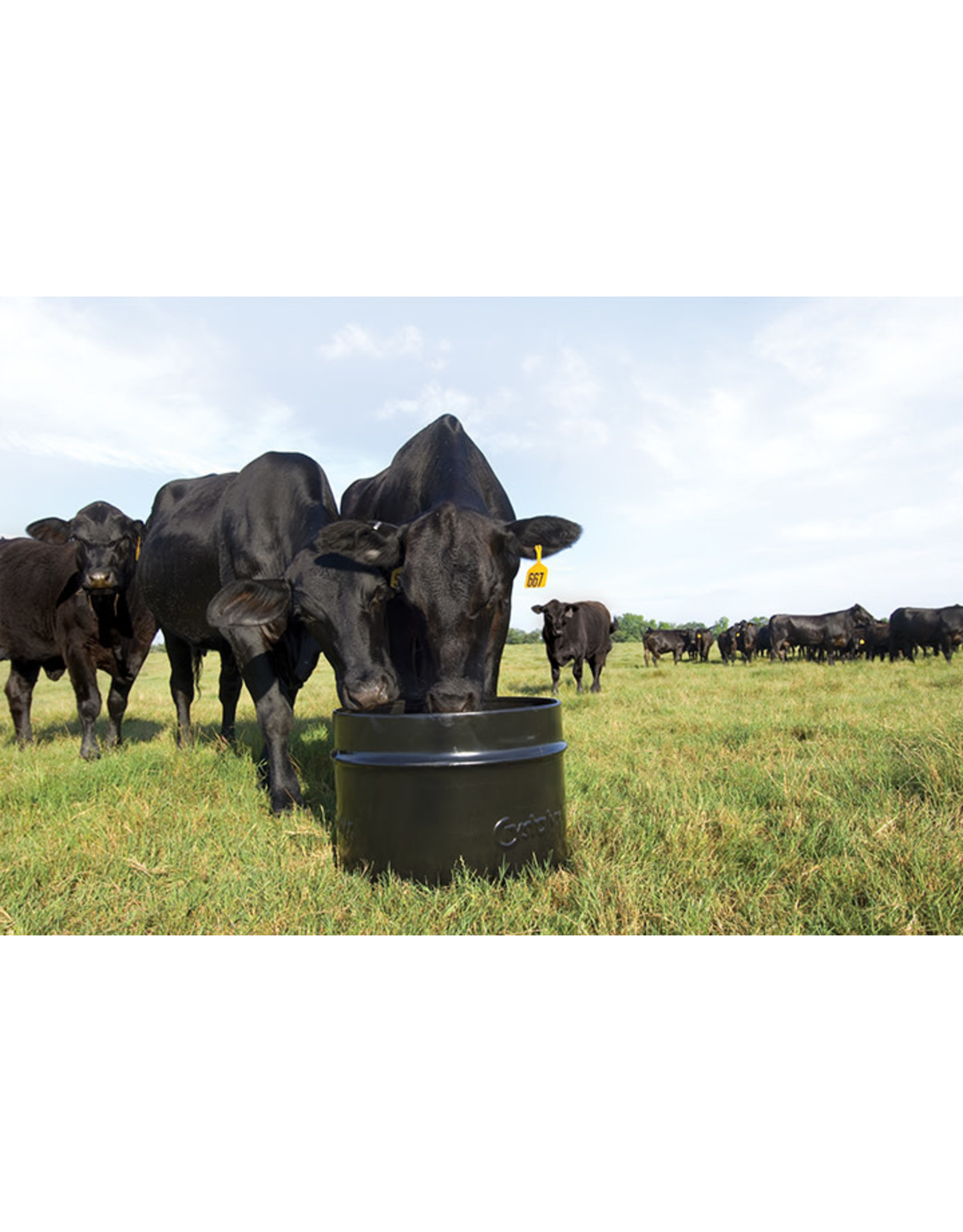 Crystalyx MINERAL-LYX - Steel 250lbs - Basic mineral without protein for producers with high quality forage who just need minerals and vitamins  Calcium 4.0% Phosphorus 4.0% Mag. 3.0% Vitamin A, Min	220,000 IU/