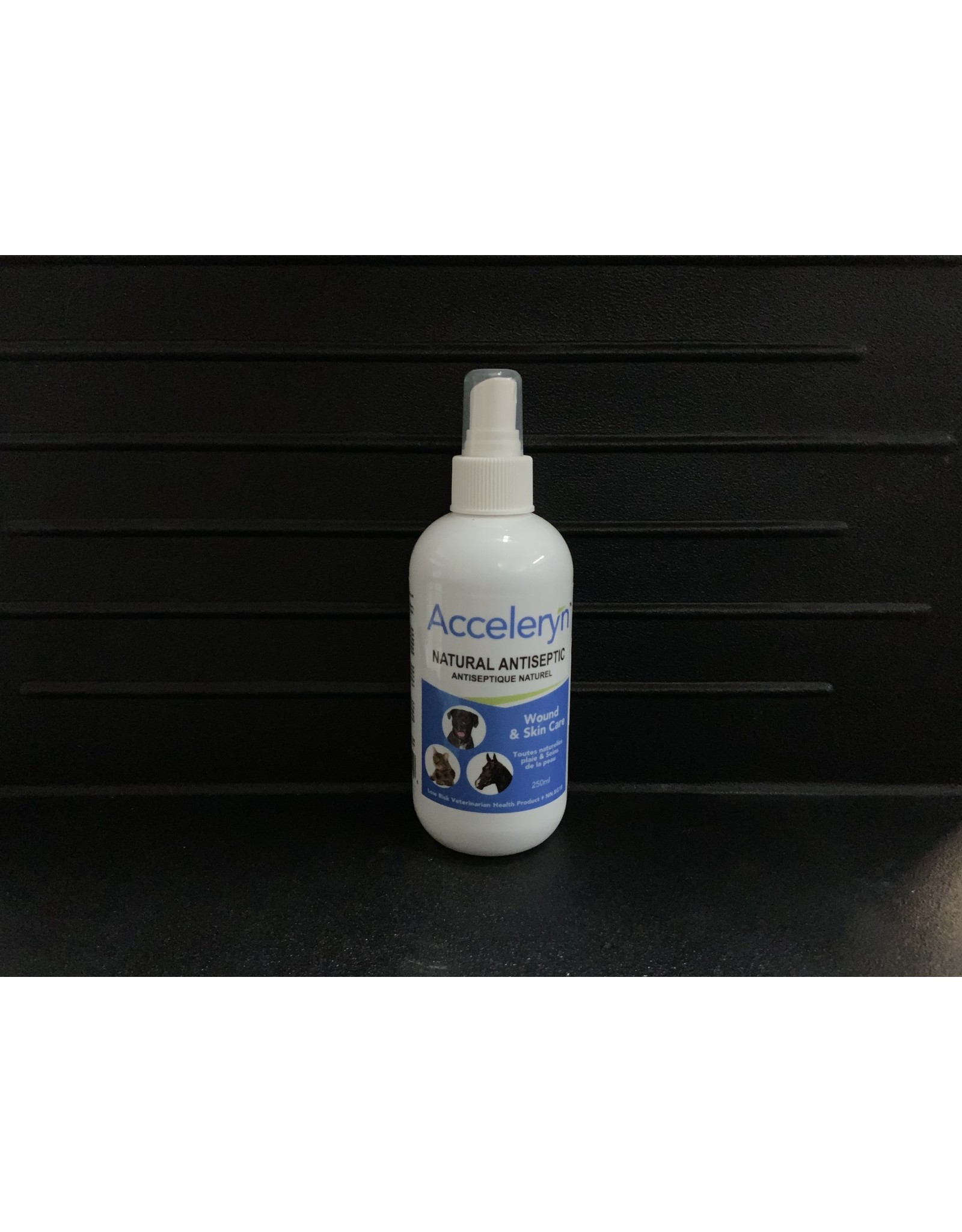 ACCELERYN FIRST AID ANTISEPTIC SPRAY 250 ML