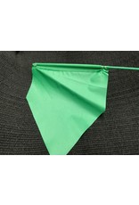 Flag Whip 60 " Green - 295-099 *Back Ordered JN25