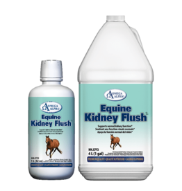 Omega Alpha KIDNEY FLUSH 1 L