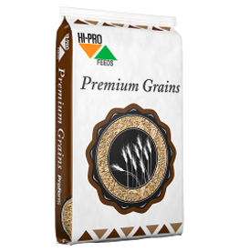 Cracked Wheat 20kg  - 011401