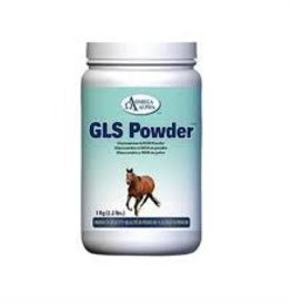 Omega Alpha GLS Powder 1 Kg