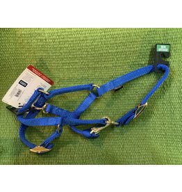 Weaver 5/8" Mini Horse Halter - Avg - Blue - 35-4800-BL