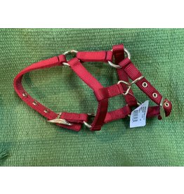 Mini Horse Flat Nylon Halter - Weanling - Red 499934-1R