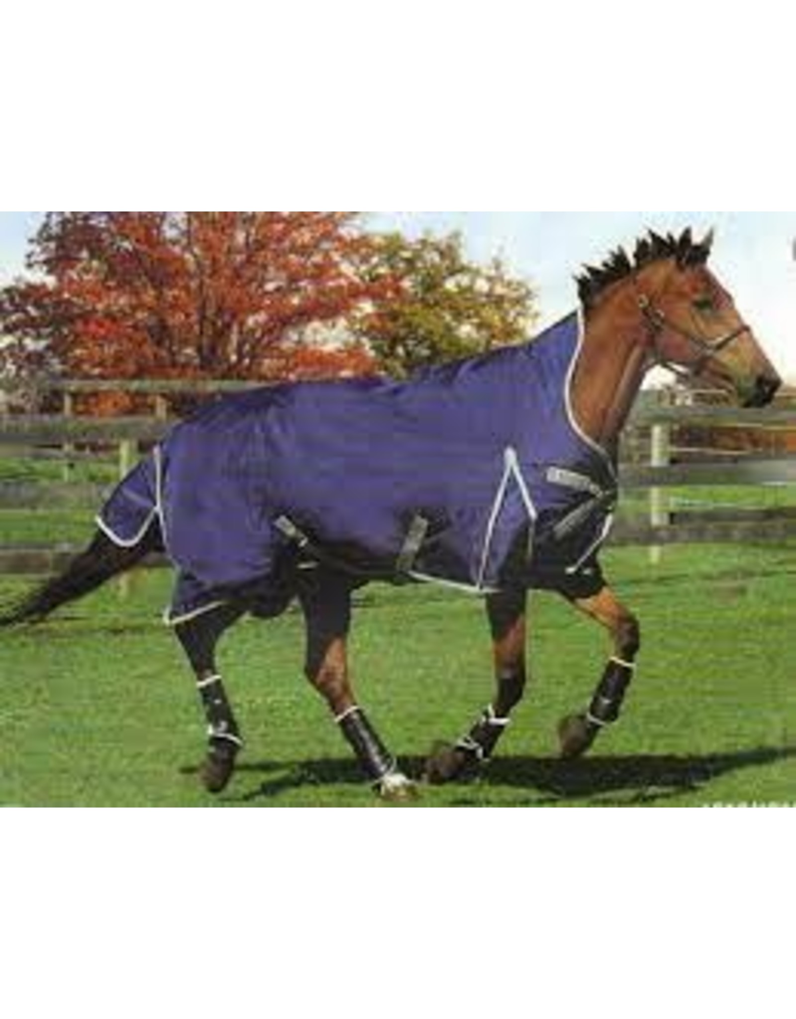 SHEET*W Avalanche Blanket - Gladiator (Navy) - 69" 440g