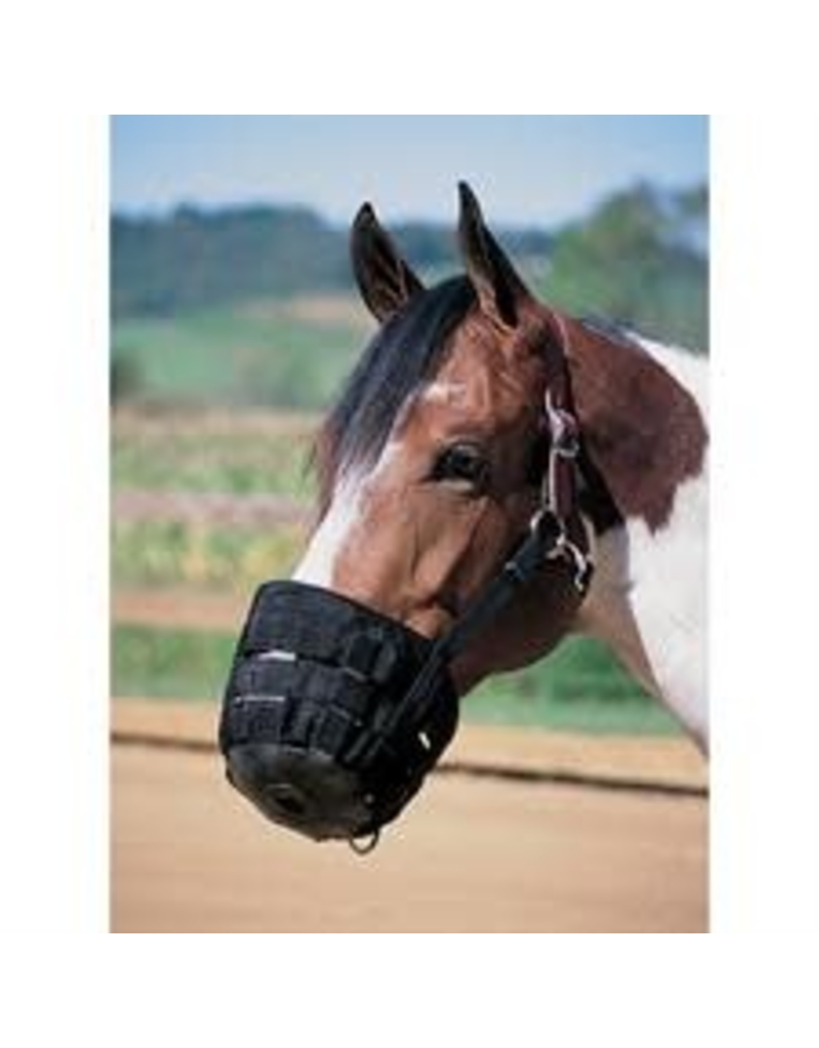 Grazing Muzzle - Black - Average - #65-2345