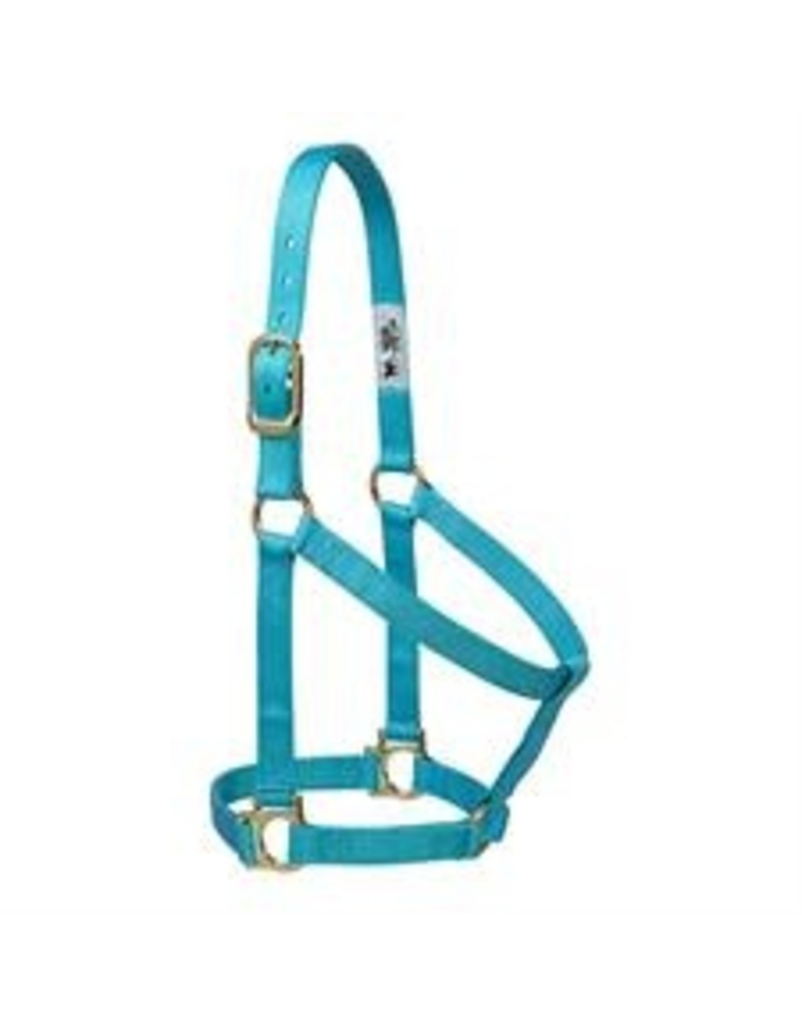Basic Non-Adjustable 1" Halter - 35-7405-TU- Avg