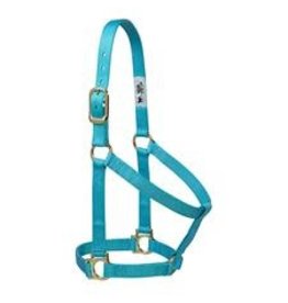 Basic Non-Adjustable 1" Halter - 35-7405-TU- Avg