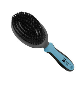 Pet Brush- B&B Bristle Brush Lrg- D1045-62018