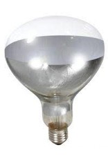 Heat Bulb White 175 wt (2 pk) - 575-021