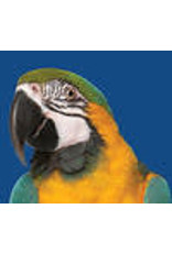 Parrot No Sunflower- Bird's Choice Farm Fresh Bird Seed  - 20 KG (44 lb) BCPN44L (c-can) - 062861461901