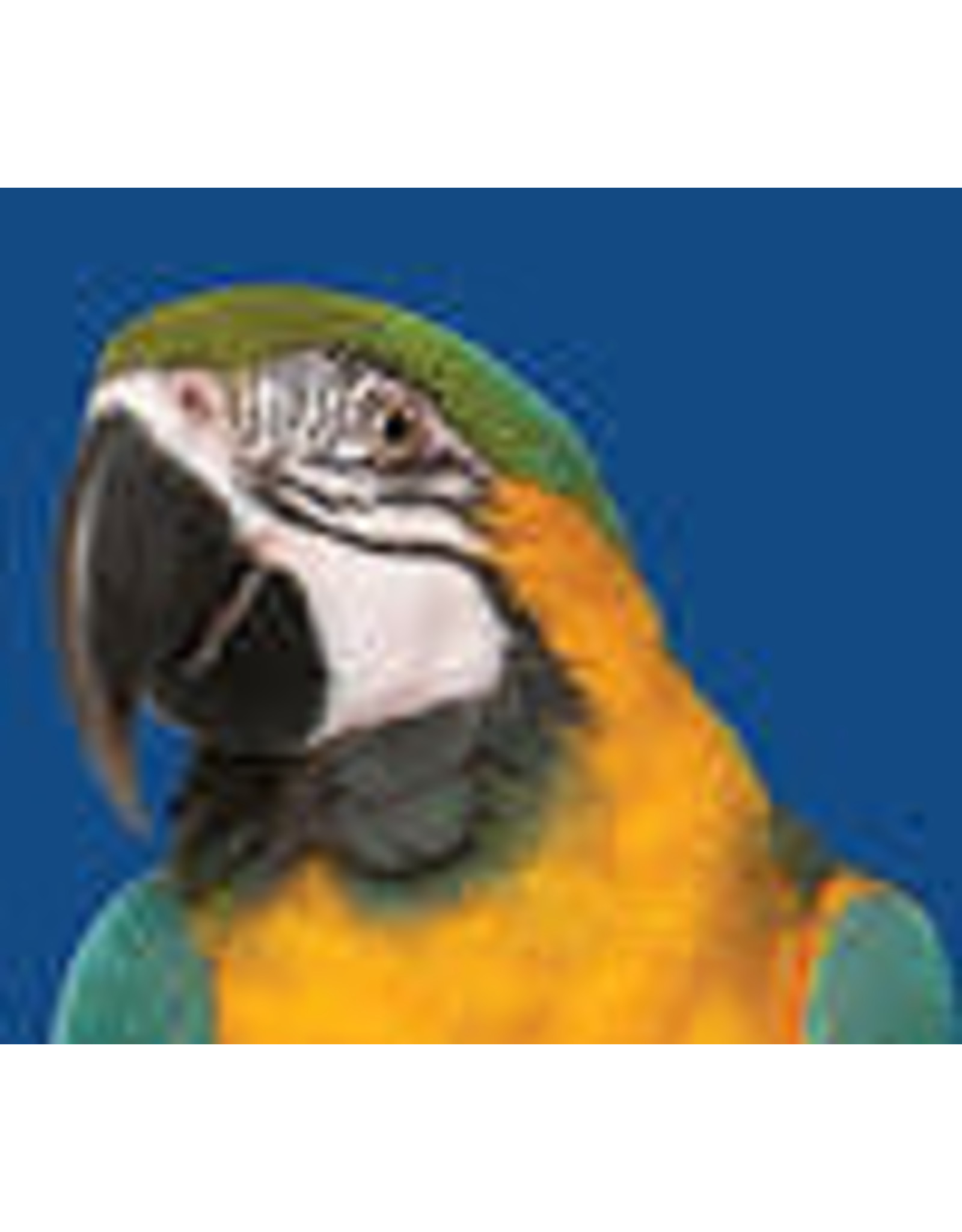 Parrot No Sunflower- Bird's Choice Farm Fresh Bird Seed  - 20 KG (44 lb) BCPN44L (c-can) - 062861461901