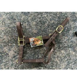 Halter - Horse - Medium - Brown - BigD