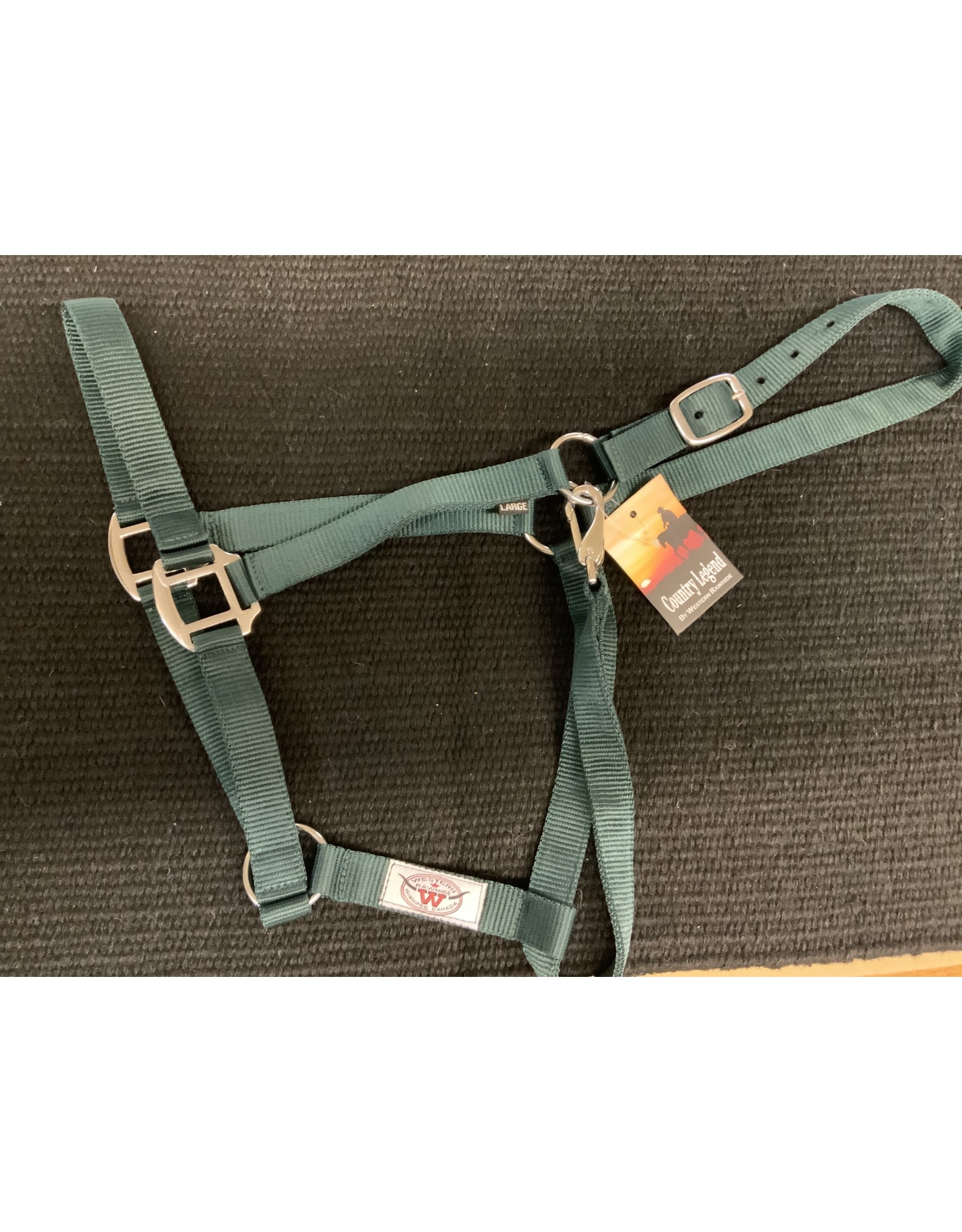 Country Legend -  Economy Flat Nylon Halter - Hunter Green  - Large - 292921-12L