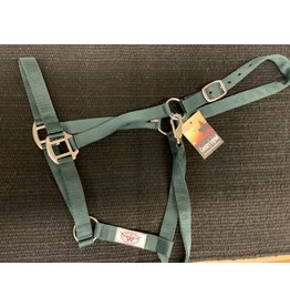 Country Legend -  Economy Flat Nylon Halter - Hunter Green  - Large - 292921-12L