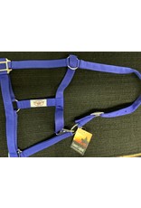 Country Legend -  Economy Flat Nylon Halter - Royal Blue  - Horse - 292910 -40