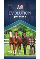 Purina PURINA EVOLUTION JUVENILE 20kg - NSC 20%  CP 15% - Fat 7% - Fiber 15%  - Recommended For Weanlings, Yearlings And Two Year Olds - CP35220. IN STORE