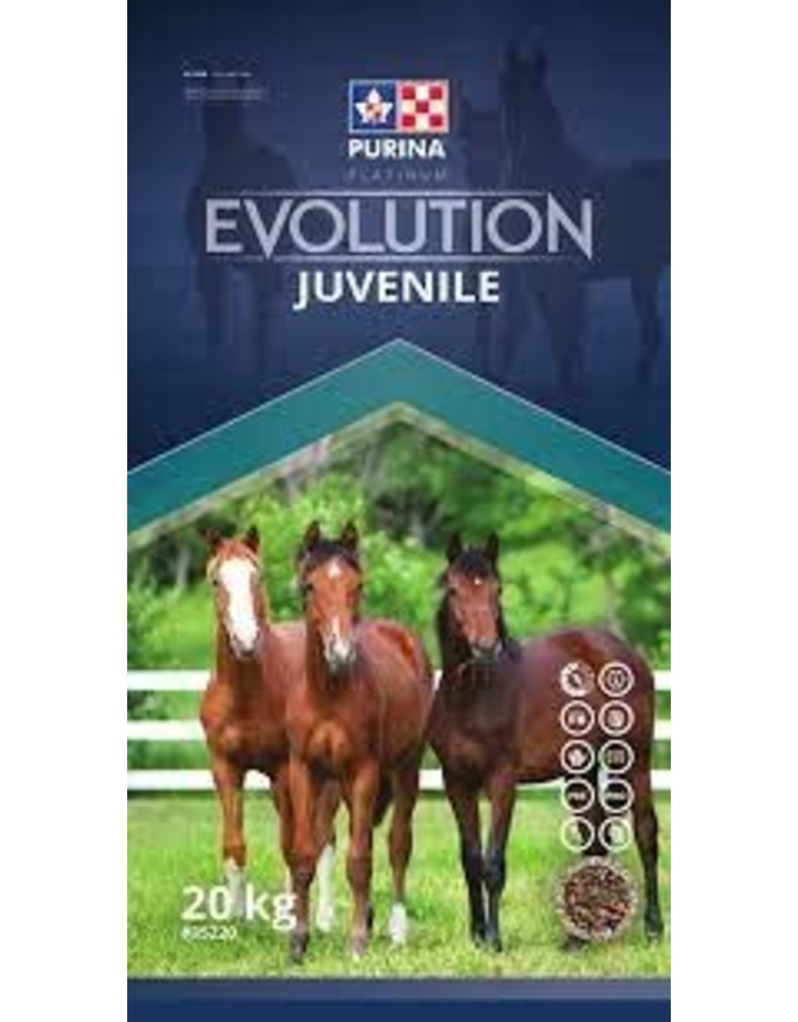 Purina PURINA EVOLUTION JUVENILE 20kg - NSC 20%  CP 15% - Fat 7% - Fiber 15%  - Recommended For Weanlings, Yearlings And Two Year Olds - CP35220. IN STORE