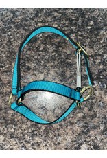 Burwash Web Sheep Halter - Teal - TBWHHSL TE