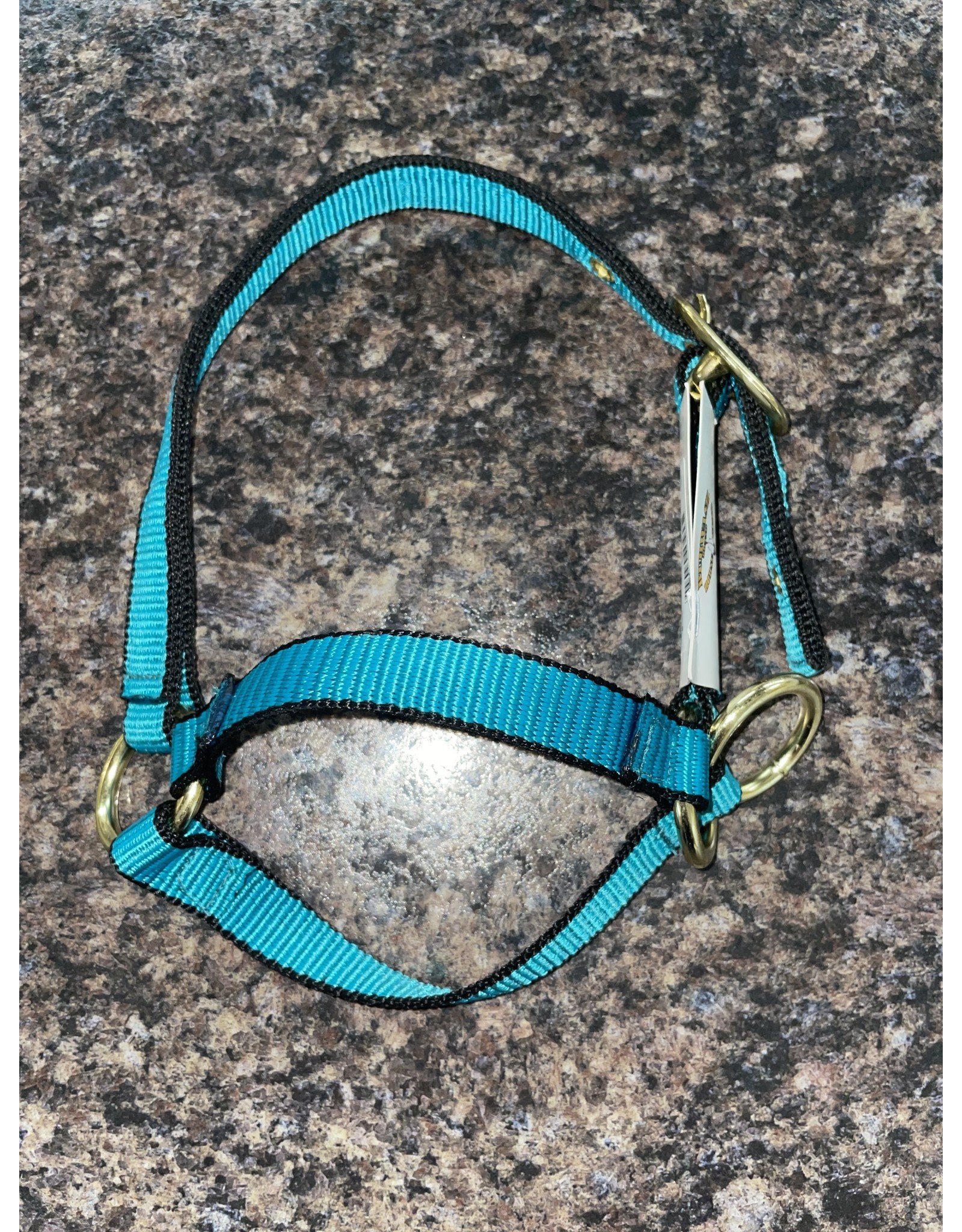 Burwash Web Sheep Halter - Teal - TBWHHSL TE