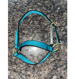 Burwash Web Sheep Halter - Teal - TBWHHSL TE