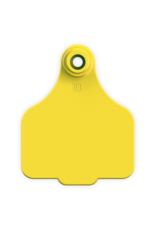 Leader TAG* LEADER 2 PC LARGE TAGS 25's - Yellow 2PL7- 58.20 (w) x 72.50 (h) x 12.80 (d) mm