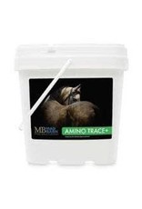 Mad Barn Canada Mad Barn Amino Trace 20kg - 628055180869 - AminoTrace+ is designed to provide the ultimate nutrition for improved hoof quality, absorption of nutrients and improved digestion – all in a convenient pel