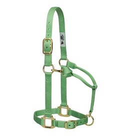 Weaver Yearling  1" Original Adjustable Halter - Pistachio Green 35-7033-186