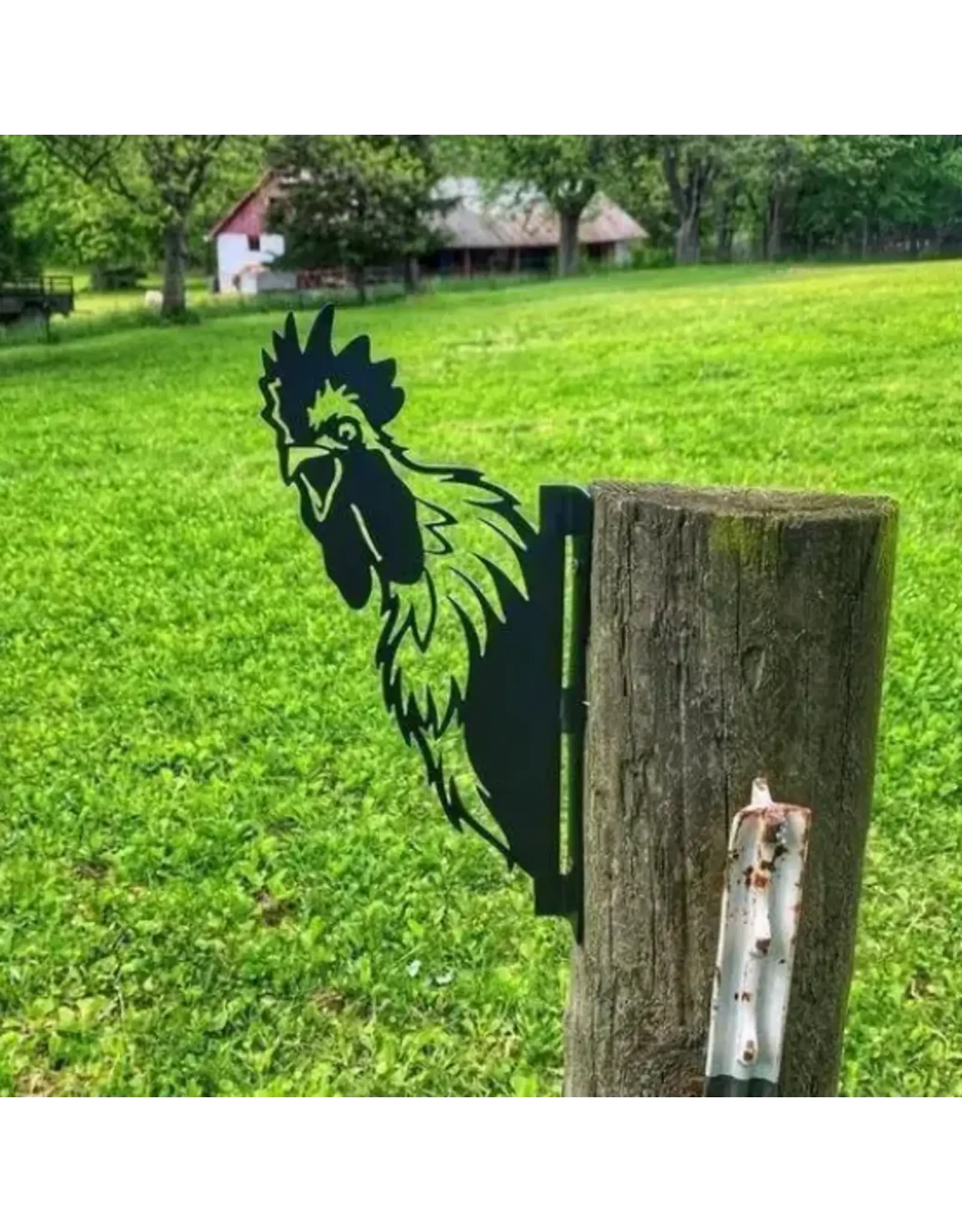 Animal Fence Silhouettes - Chicken - TGW-033